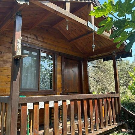 Olimpos Bungalov Apart Balikliova Exterior photo